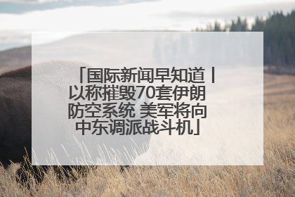 国际新闻早知道丨以称摧毁70套伊朗防空系统 美军将向中东调派战斗机