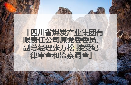 四川省煤炭产业集团有限责任公司原党委委员、副总经理张万松 接受纪律审查和监察调查