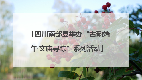 四川南部县举办“古韵端午·文庙寻踪”系列活动