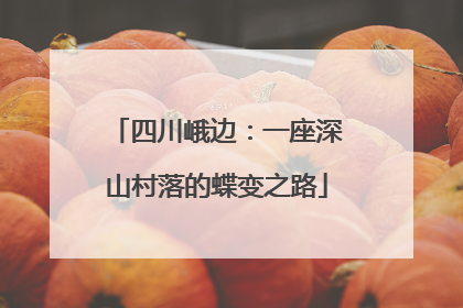 四川峨边：一座深山村落的蝶变之路