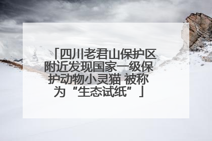四川老君山保护区附近发现国家一级保护动物小灵猫 被称为“生态试纸”