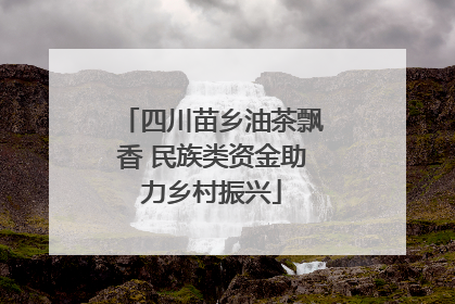 四川苗乡油茶飘香 民族类资金助力乡村振兴