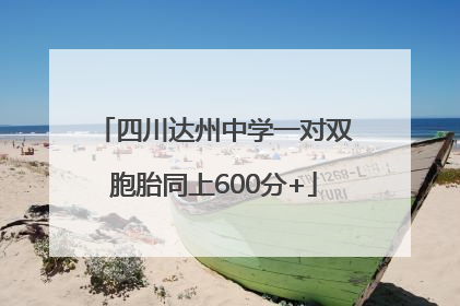 四川达州中学一对双胞胎同上600分+