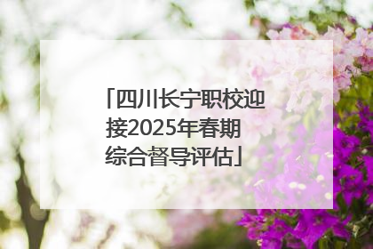 四川长宁职校迎接2025年春期综合督导评估
