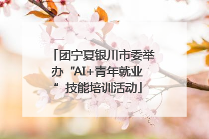 团宁夏银川市委举办“AI+青年就业”技能培训活动