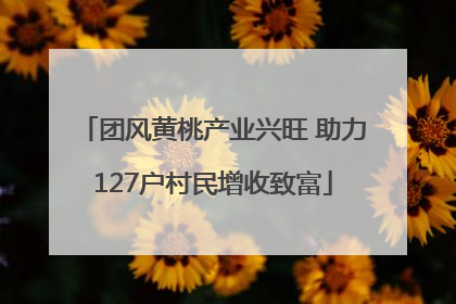 团风黄桃产业兴旺 助力127户村民增收致富