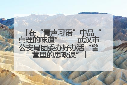 在“青声习语”中品“真理的味道”——武汉市公安局团委办好办活“警营里的思政课”