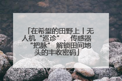 在希望的田野上丨无人机“巡诊”、传感器“把脉” 解锁田间地头的丰收密码