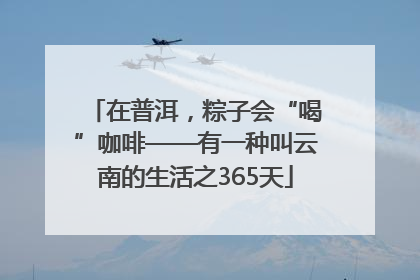 在普洱，粽子会“喝”咖啡——有一种叫云南的生活之365天