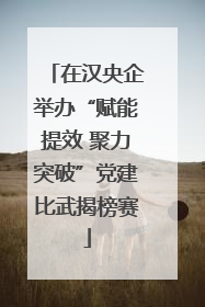 在汉央企举办“赋能提效 聚力突破”党建比武揭榜赛