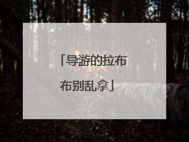 导游的拉布布别乱拿