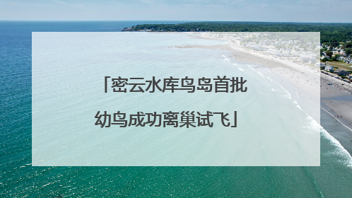 密云水库鸟岛首批幼鸟成功离巢试飞