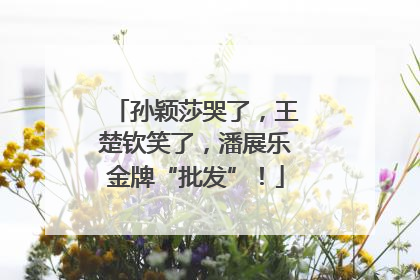 孙颖莎哭了，王楚钦笑了，潘展乐金牌“批发”！