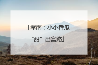 孝南：小小香瓜 “甜”出富路