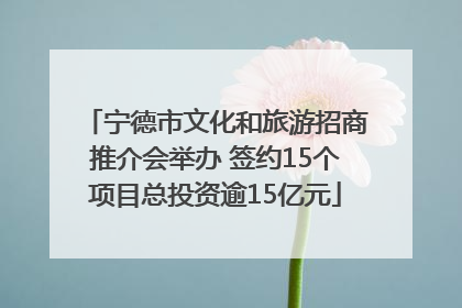 宁德市文化和旅游招商推介会举办 签约15个项目总投资逾15亿元
