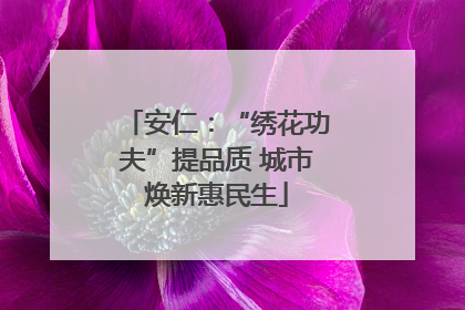 安仁：“绣花功夫”提品质 城市焕新惠民生