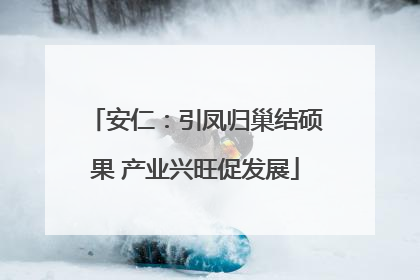 安仁：引凤归巢结硕果 产业兴旺促发展
