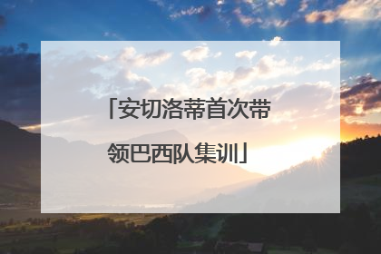 安切洛蒂首次带领巴西队集训