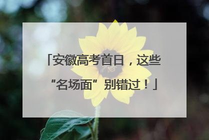 安徽高考首日，这些“名场面”别错过！