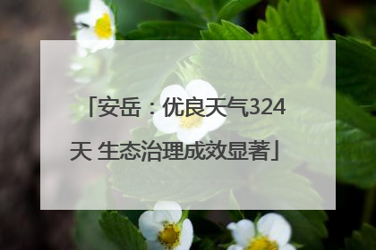 安岳：优良天气324天 生态治理成效显著