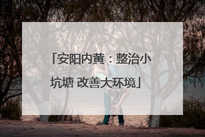 安阳内黄：整治小坑塘 改善大环境