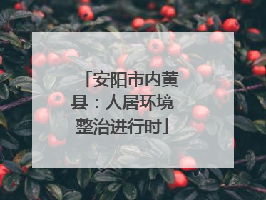 安阳市内黄县：人居环境整治进行时