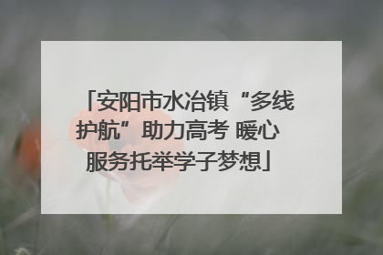 安阳市水冶镇“多线护航”助力高考 暖心服务托举学子梦想