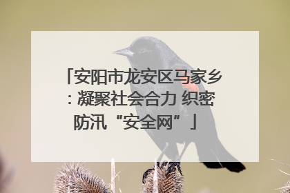 安阳市龙安区马家乡：凝聚社会合力 织密防汛“安全网”