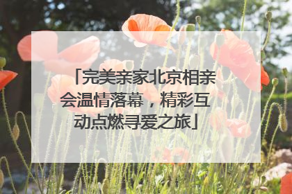 完美亲家北京相亲会温情落幕，精彩互动点燃寻爱之旅