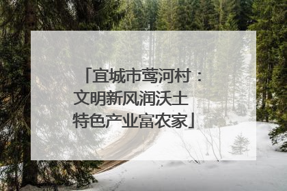 宜城市莺河村：文明新风润沃土 特色产业富农家