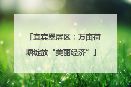 宜宾翠屏区：万亩荷塘绽放“美丽经济”