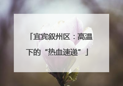 宜宾叙州区：高温下的“热血速递”