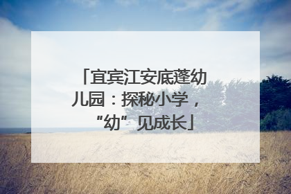 宜宾江安底蓬幼儿园：探秘小学，“幼”见成长