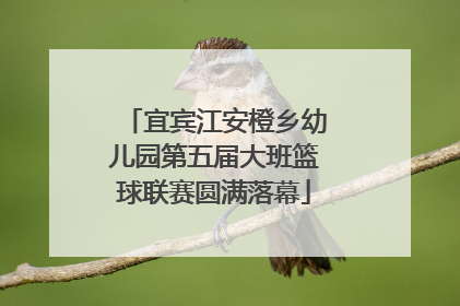 宜宾江安橙乡幼儿园第五届大班篮球联赛圆满落幕