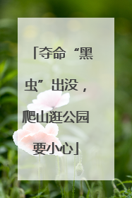 夺命“黑虫”出没，爬山逛公园要小心