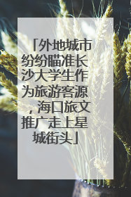 外地城市纷纷瞄准长沙大学生作为旅游客源，海口旅文推广走上星城街头