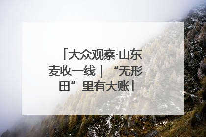 大众观察·山东麦收一线｜“无形田”里有大账