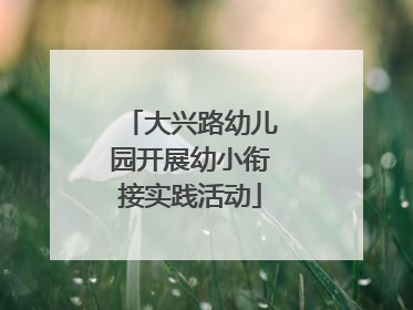 大兴路幼儿园开展幼小衔接实践活动