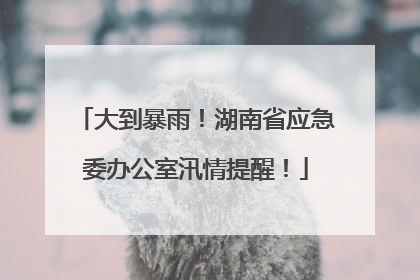 大到暴雨！湖南省应急委办公室汛情提醒！