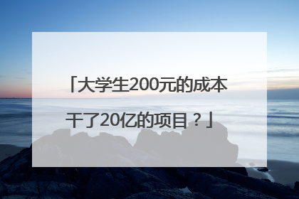 大学生200元的成本干了20亿的项目？