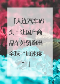 大连汽车码头：让国产商品车外贸跑出全球“加速度”