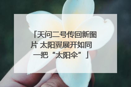 天问二号传回新图片 太阳翼展开如同一把“太阳伞”