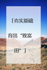 夯实基础育出“致富田”