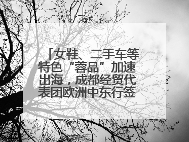 女鞋、二手车等特色“蓉品”加速出海，成都经贸代表团欧洲中东行签单逾3.7亿元