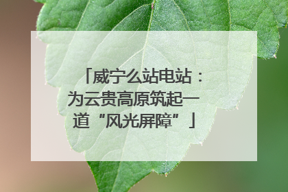 威宁么站电站：为云贵高原筑起一道“风光屏障”