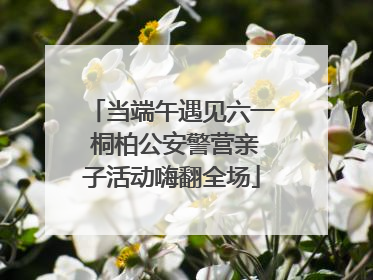 当端午遇见六一 桐柏公安警营亲子活动嗨翻全场