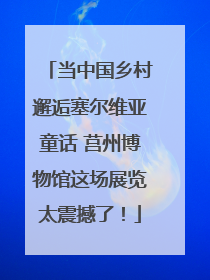 当中国乡村邂逅塞尔维亚童话 莒州博物馆这场展览太震撼了！