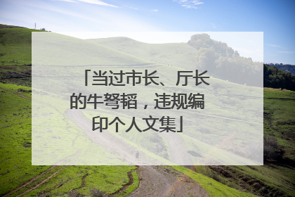 当过市长、厅长的牛弩韬，违规编印个人文集