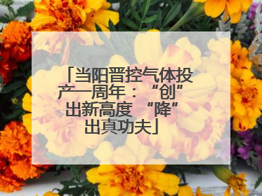 当阳晋控气体投产一周年：“创”出新高度 “降”出真功夫