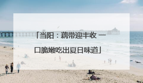 当阳：藕带迎丰收 一口脆嫩吃出夏日味道